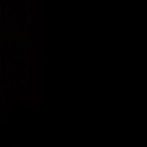 Meet your Posher, Siona